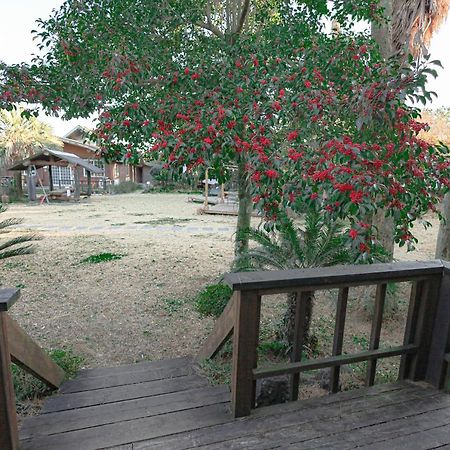 Jeju Log Village Pension Seogwipo Exterior photo